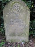 image of grave number 365862